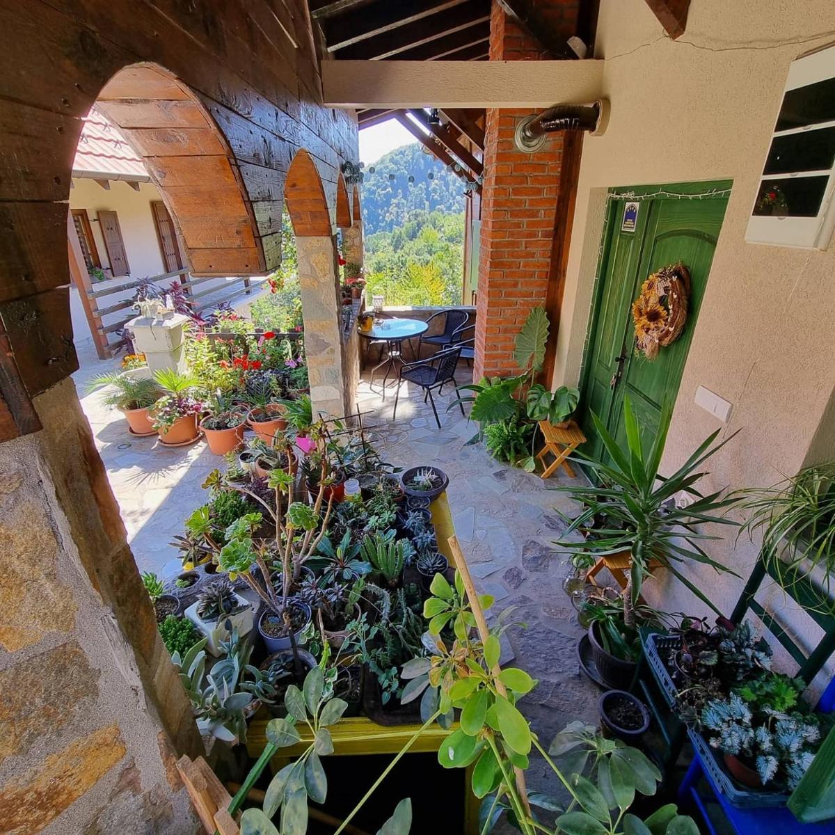 Country House Sunčev breg - Housity