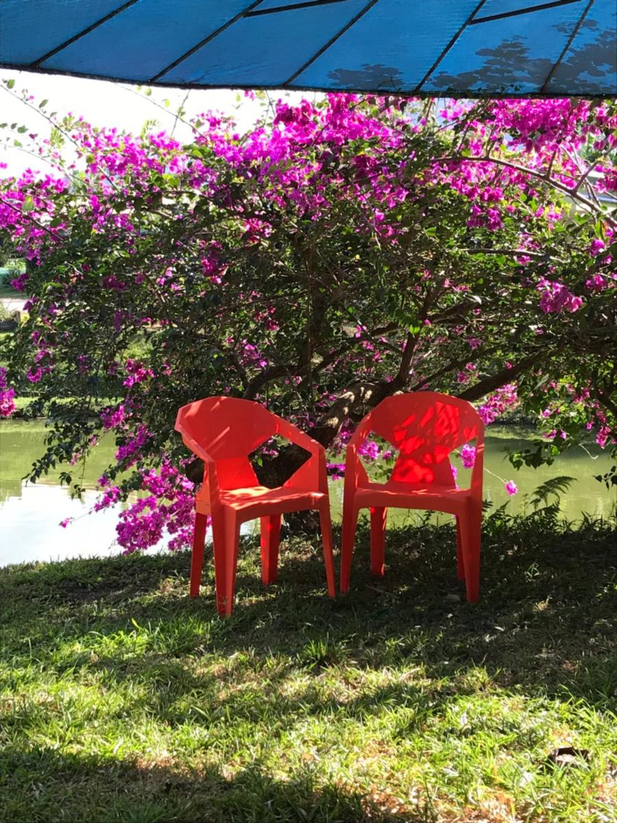 Hotel Colores del Arenal - Housity