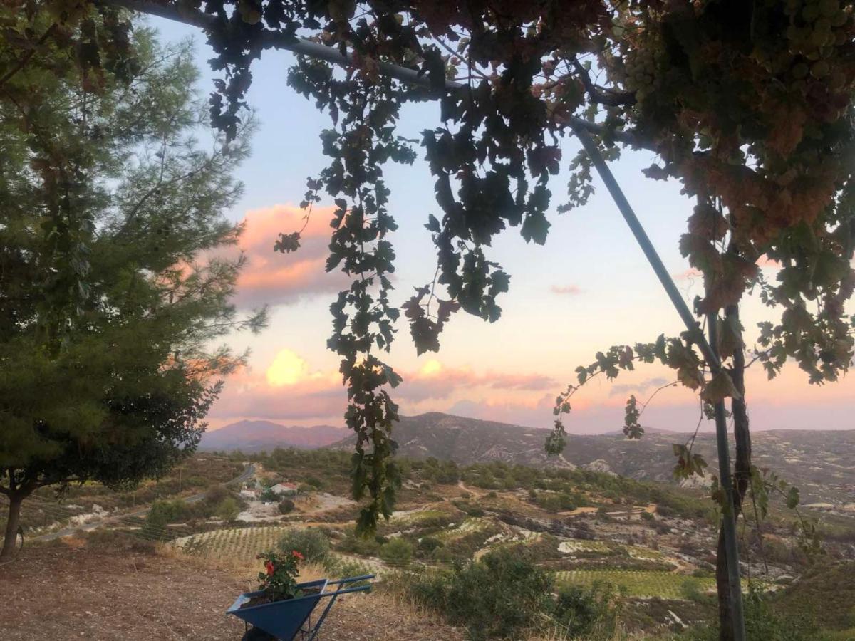 House on a Hill with Stunning Views near Troodos - Housity