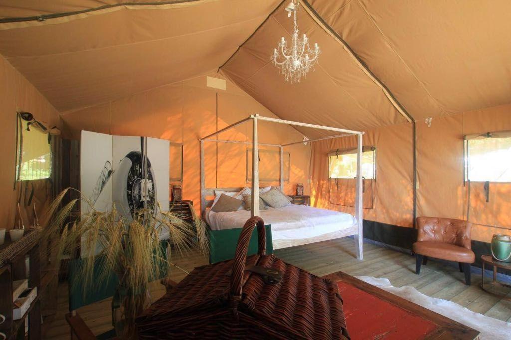 Great-Lake-Lodge-Spektakulaerer-Glampingurlaub-am-Grossensee - Housity