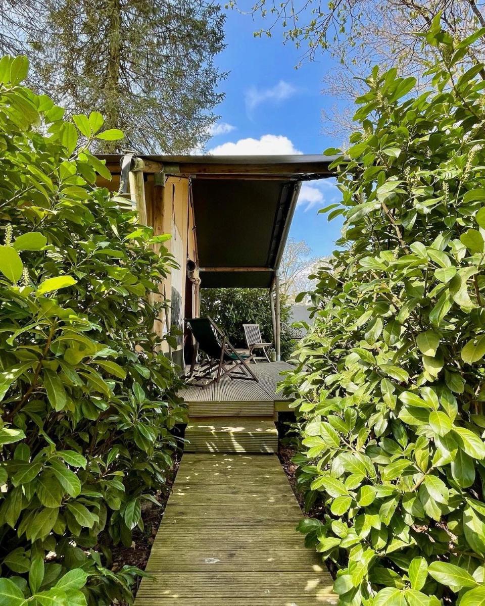 Great-Lake-Lodge-Spektakulaerer-Glampingurlaub-am-Grossensee - Housity