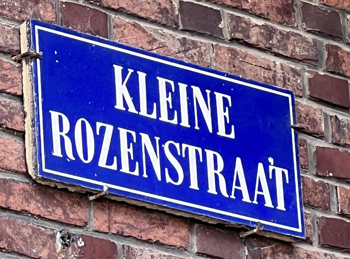 Cosy Studio Apartment Kleine Rozenstraat - Housity