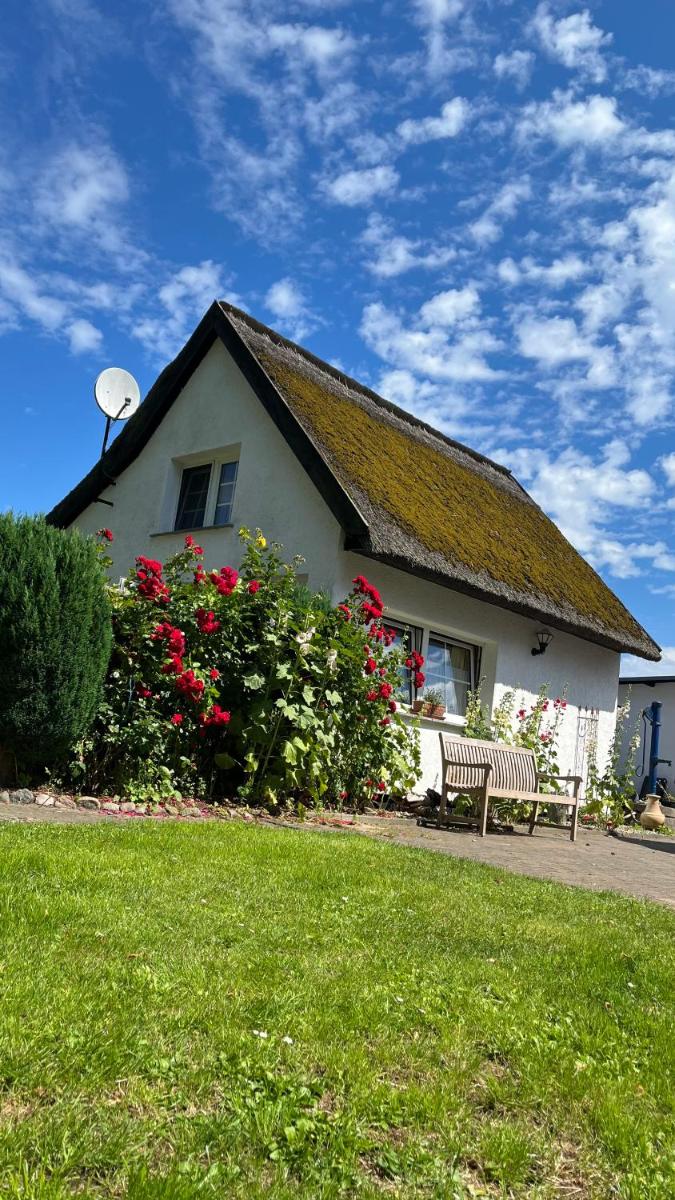 Reetdachträumchen - Housity