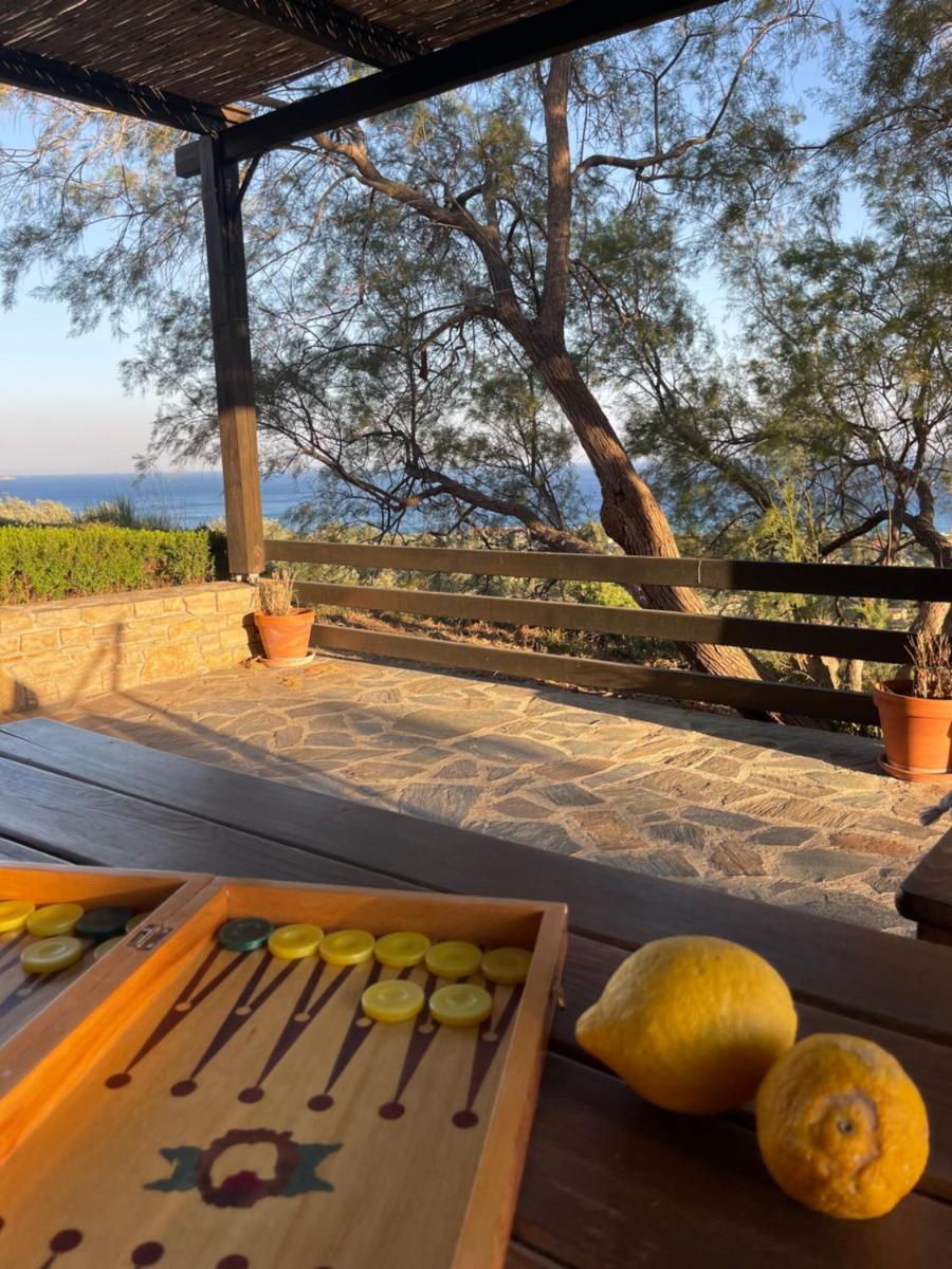 Villa Margarita - Housity