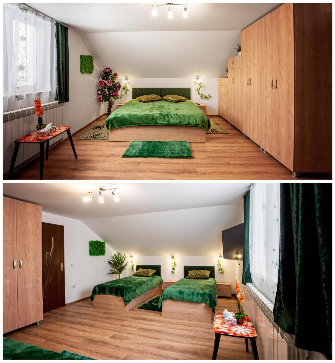 CASUTA CU FLORI - Housity