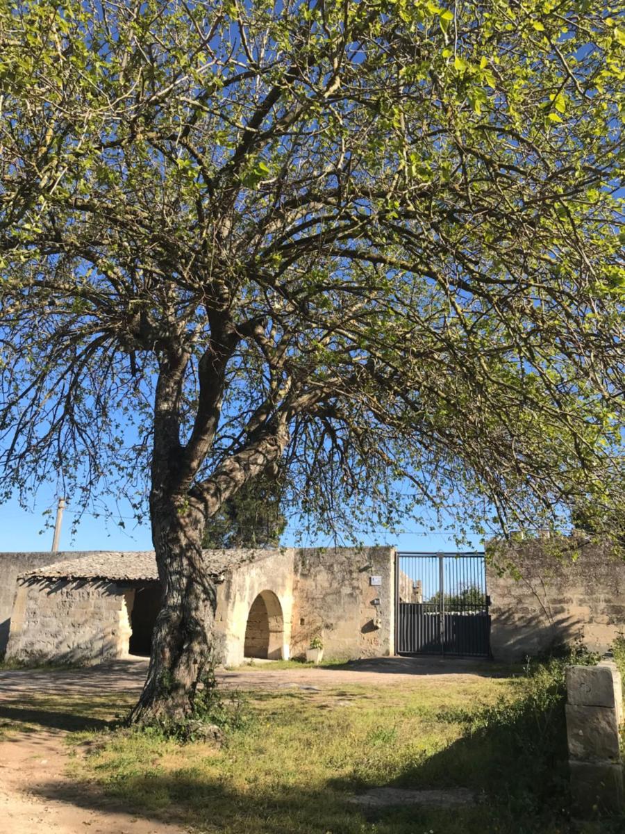 Masseria Pesanei - Housity