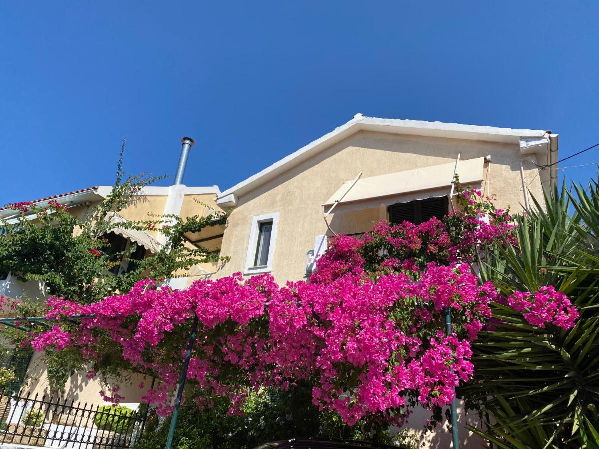 Casa Buganvilla - Housity