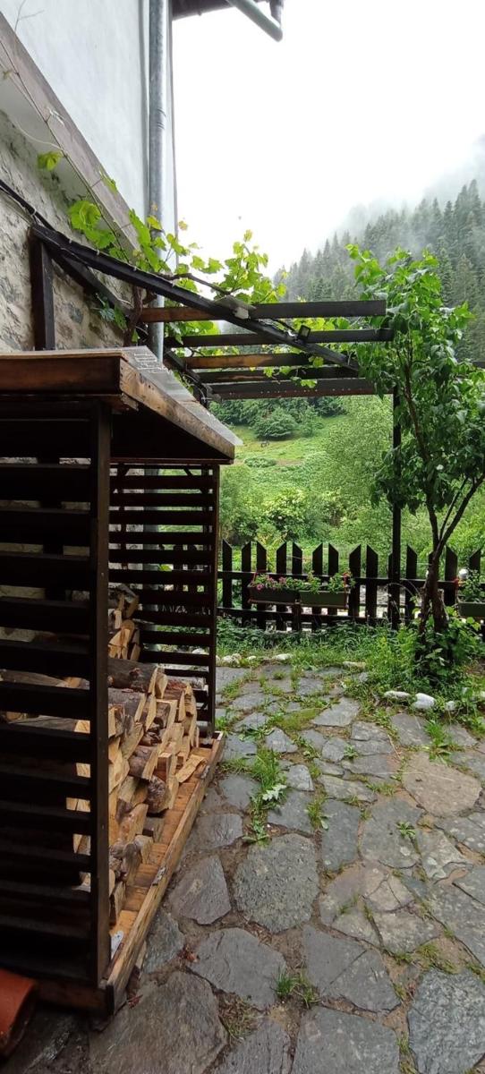 Yakusha - Якуша, къща за гости - Housity