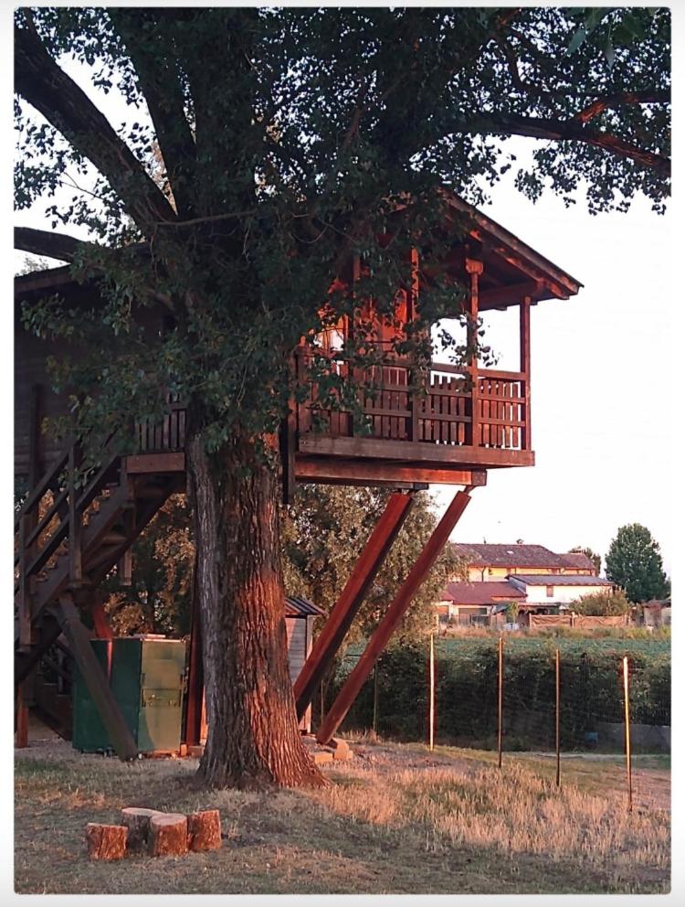 La Casa sull'albero Oasi Certosa di Pavia - Housity