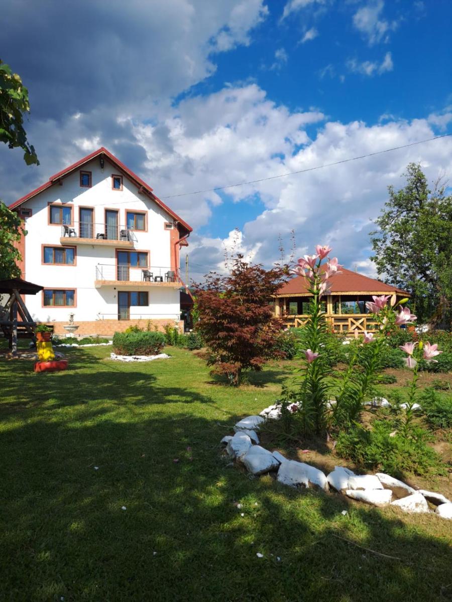 Pensiunea Saradavy - Housity