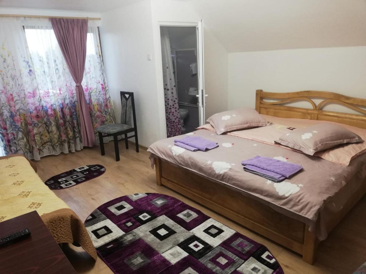 Pensiunea Saradavy - Housity