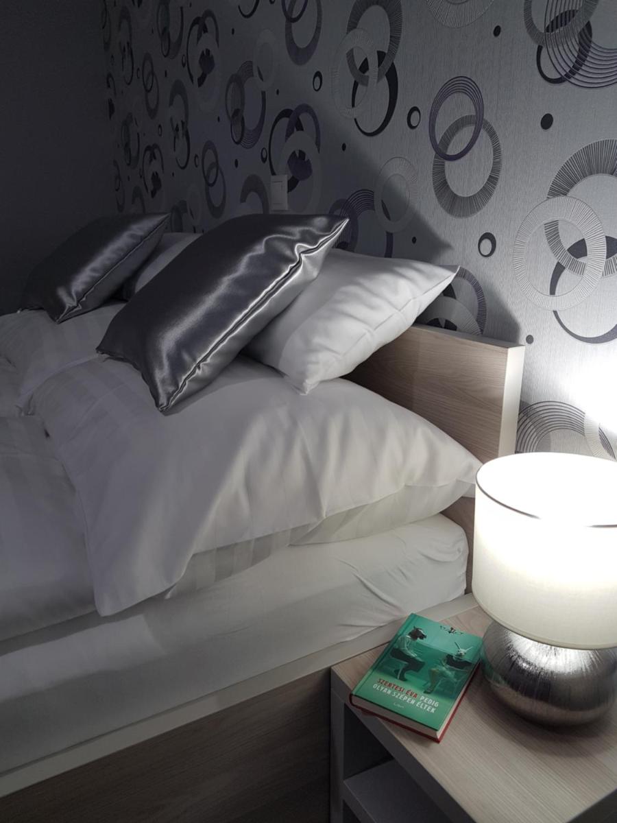 Silver Lodge Apartment 1 Eger - Housity