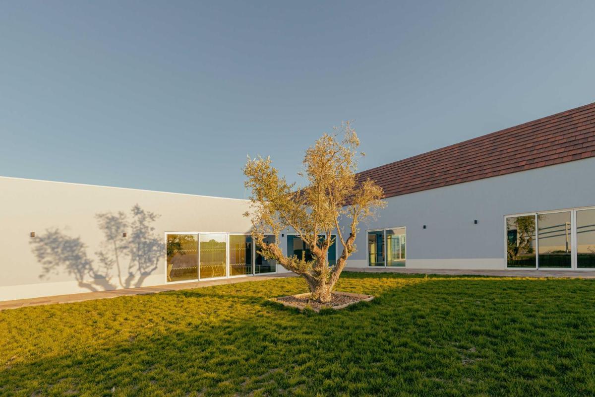 Um jardim no exterior de Sleep & Nature Hotel