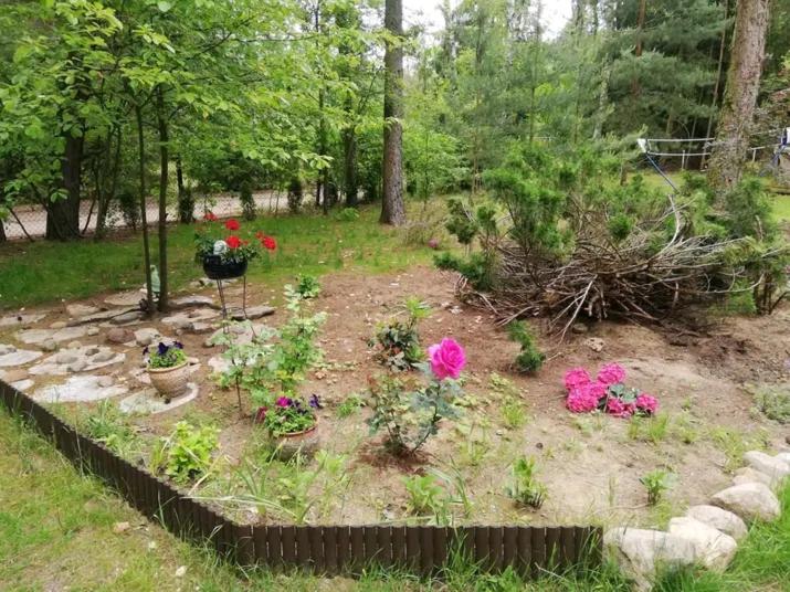 Murowany domek letniskowy na działce 1000m2 - Housity