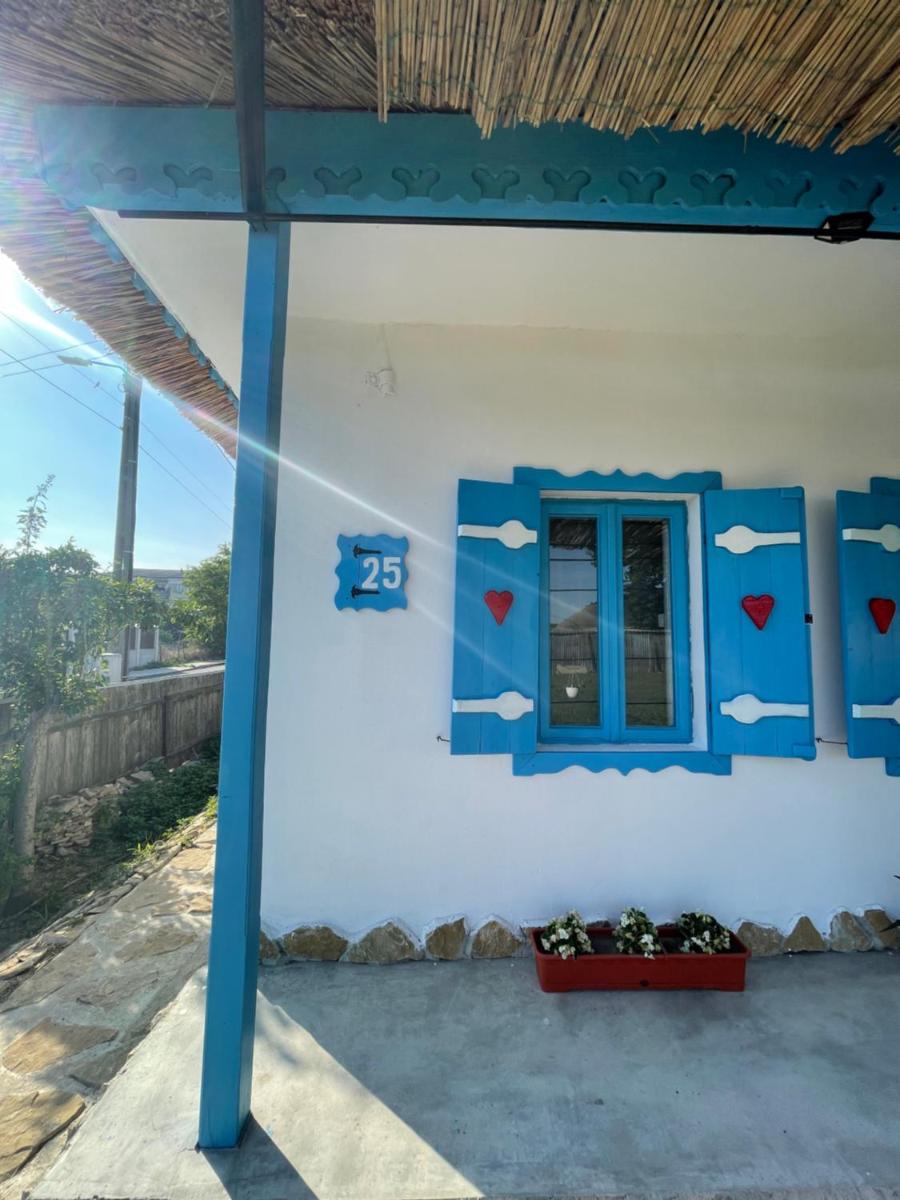 Casa cu stuf Murighiol - Housity