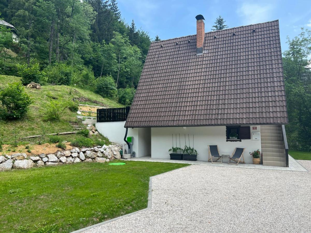 Our Forest House - Housity