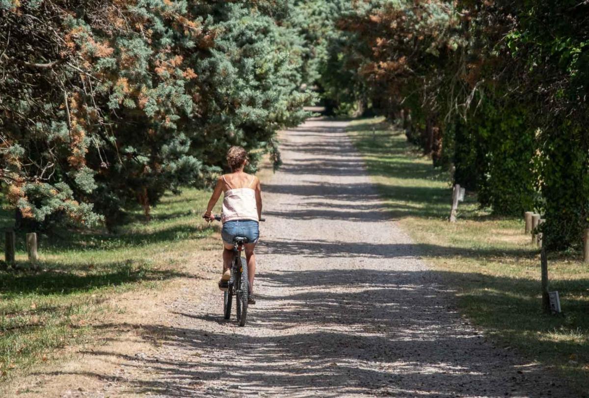 une femme qui emprunte un vélo sur un chemin de terre dans l'établissement Domaine des Dryades, à Pouligny-Notre-Dame 39 autres photos