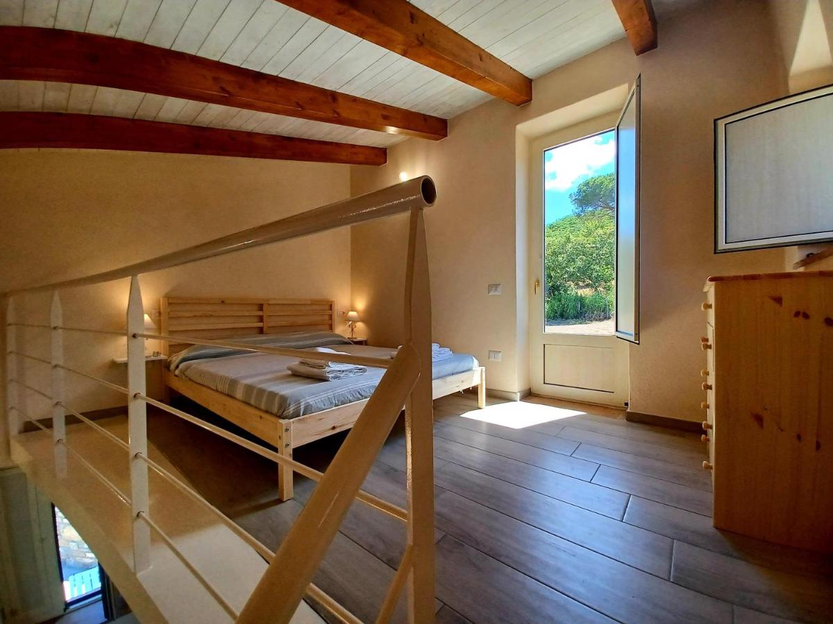 Agriturismo Le Terre di Veneré - Housity