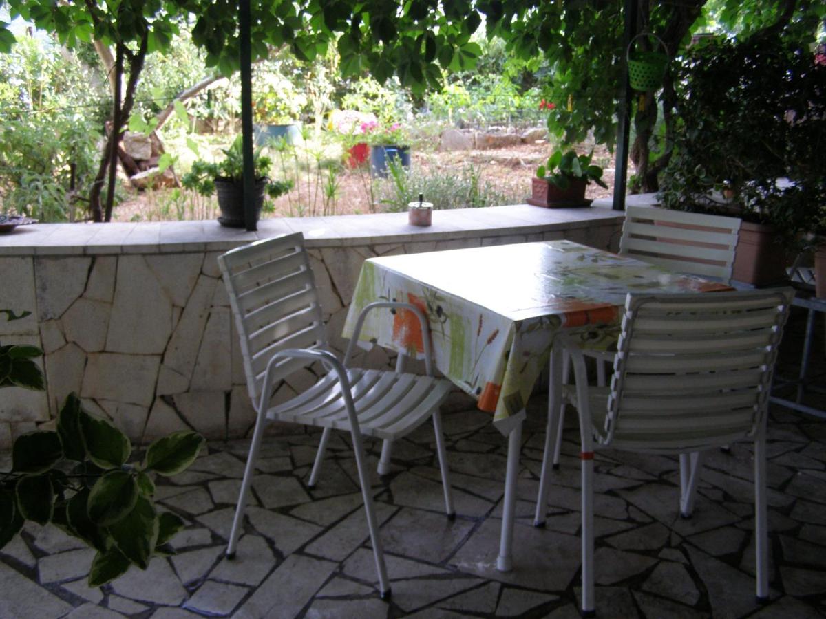 Apartment Zeljka - Housity