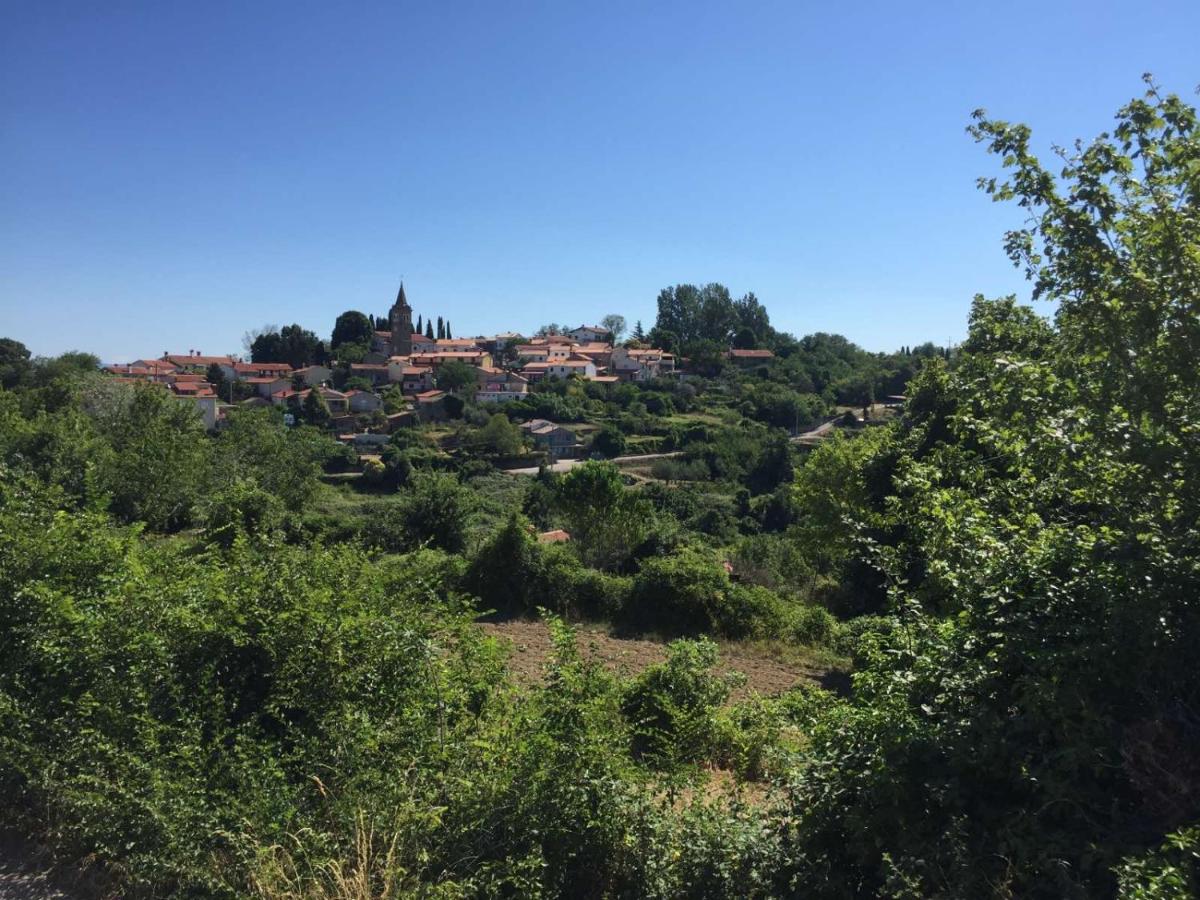 Fig&Lavender Apartment - Housity