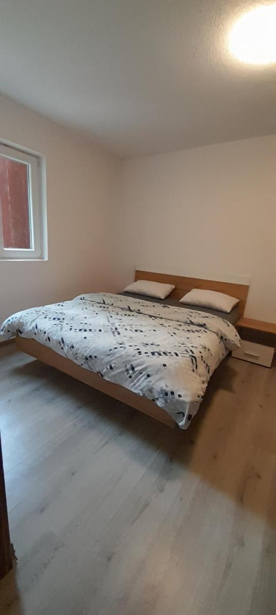 Carlitos - Housity