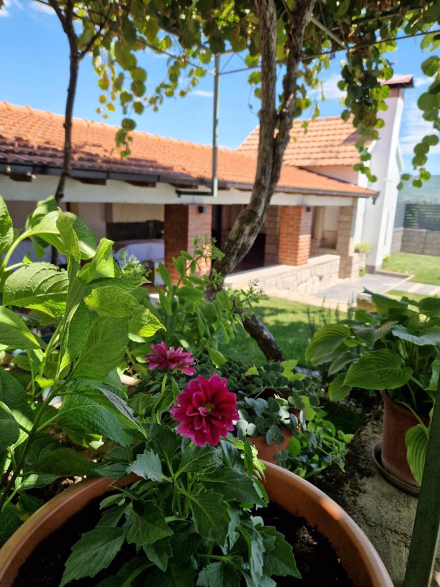 Villa Olea - Housity