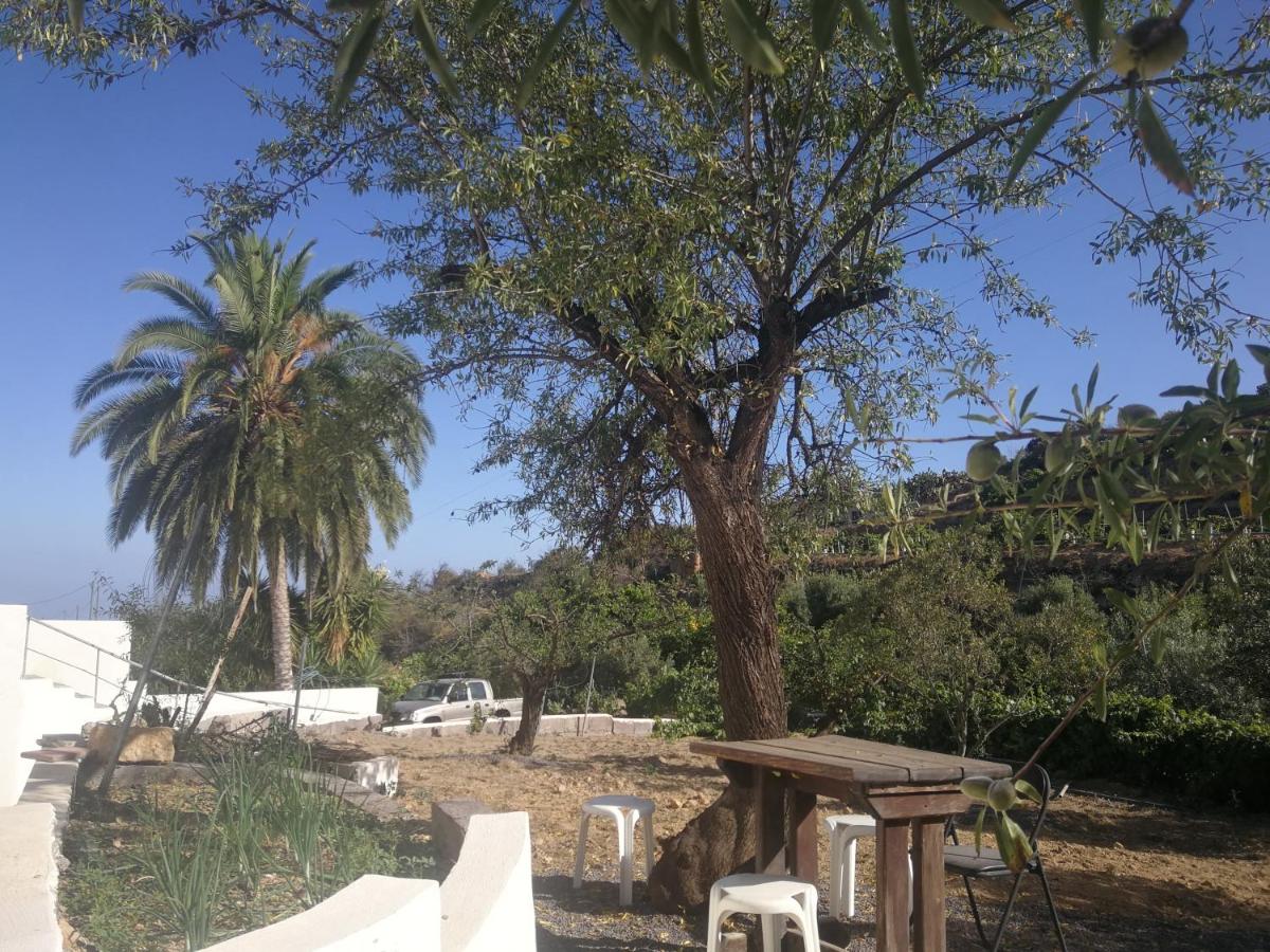 Naturaleza , tranquilidad, barbacoa....que mas! - Housity