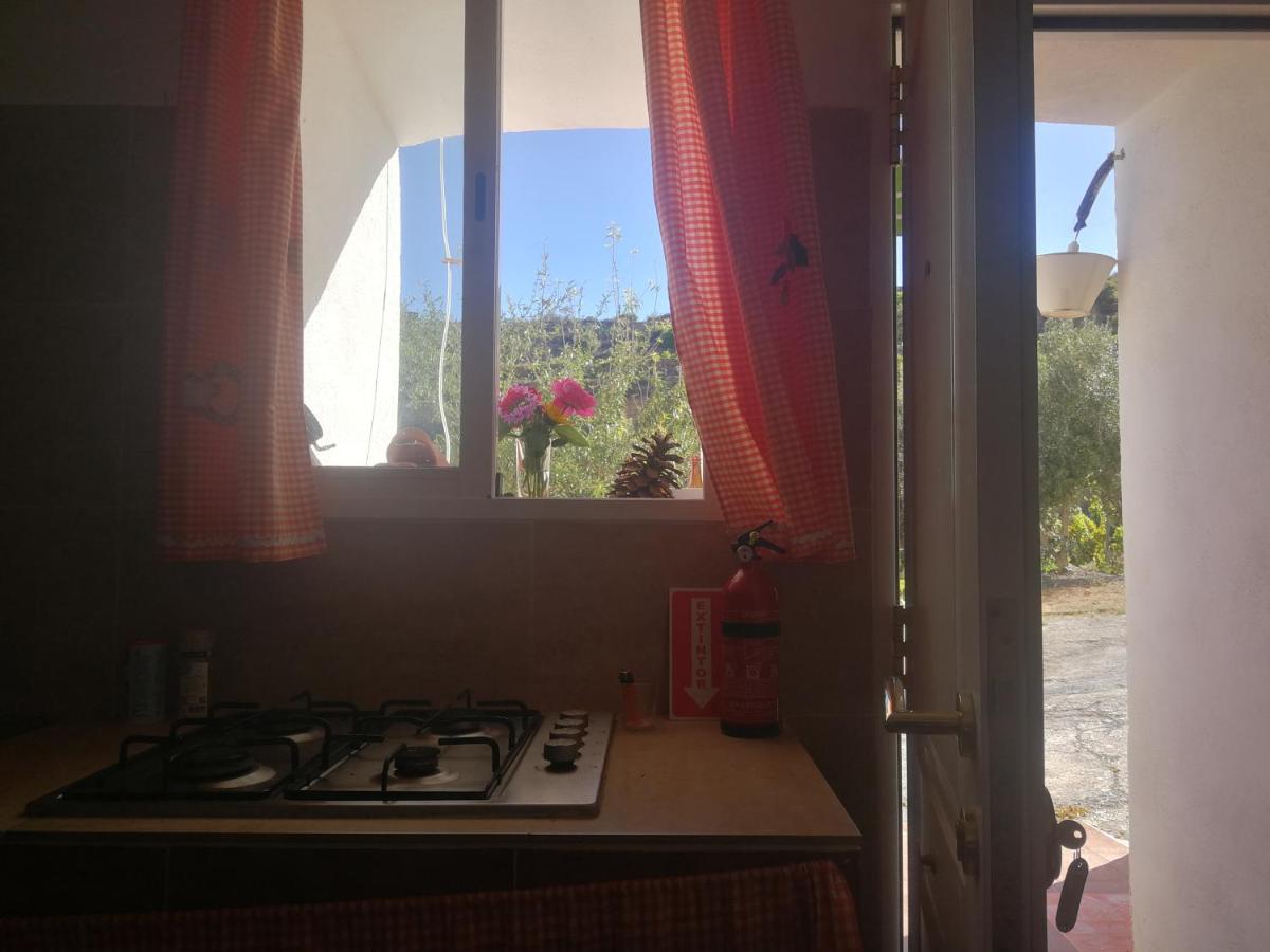 Naturaleza , tranquilidad, barbacoa....que mas! - Housity