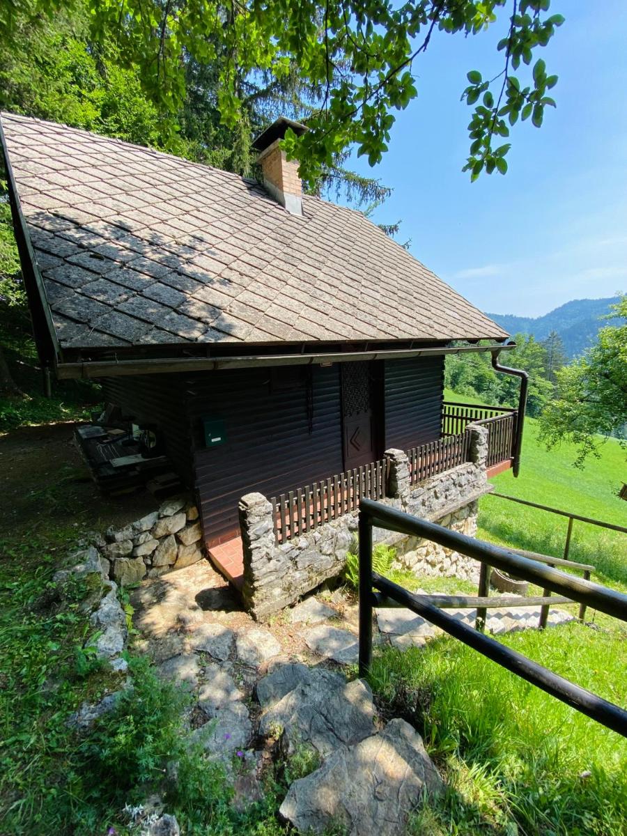 Tiny house in the woods - Housity