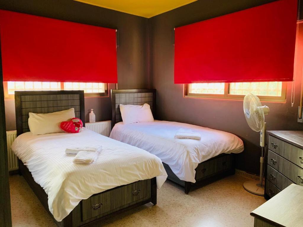 Laura's Shared Modern Villa - Housity