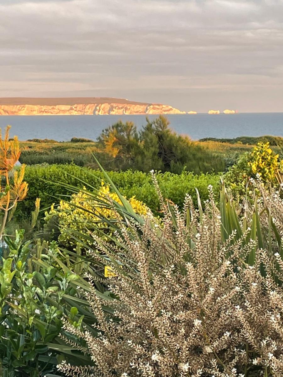 Cliff top Garden room - Housity