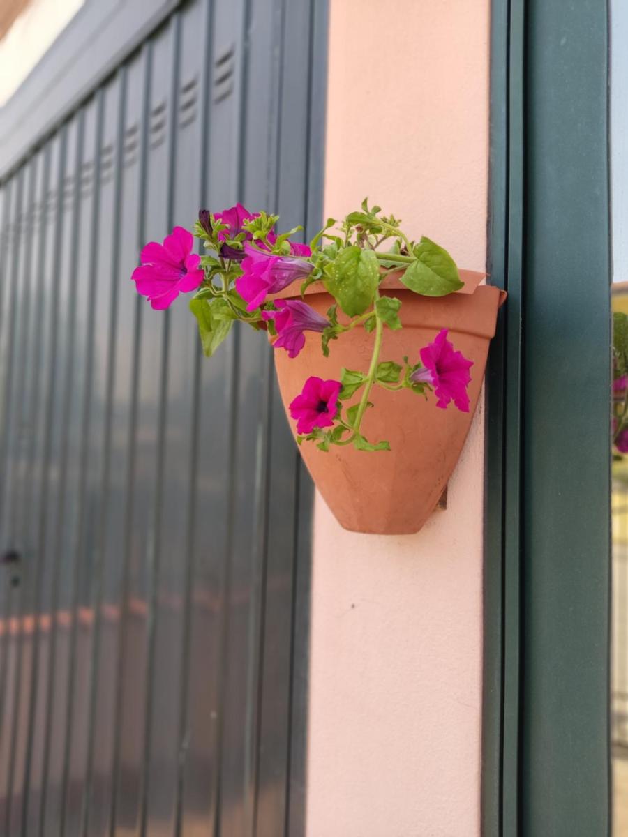 Villetta Gina a San Giuseppe - Lido di Pomposa - Housity