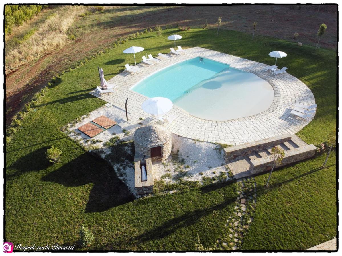 Alta Area - Housity