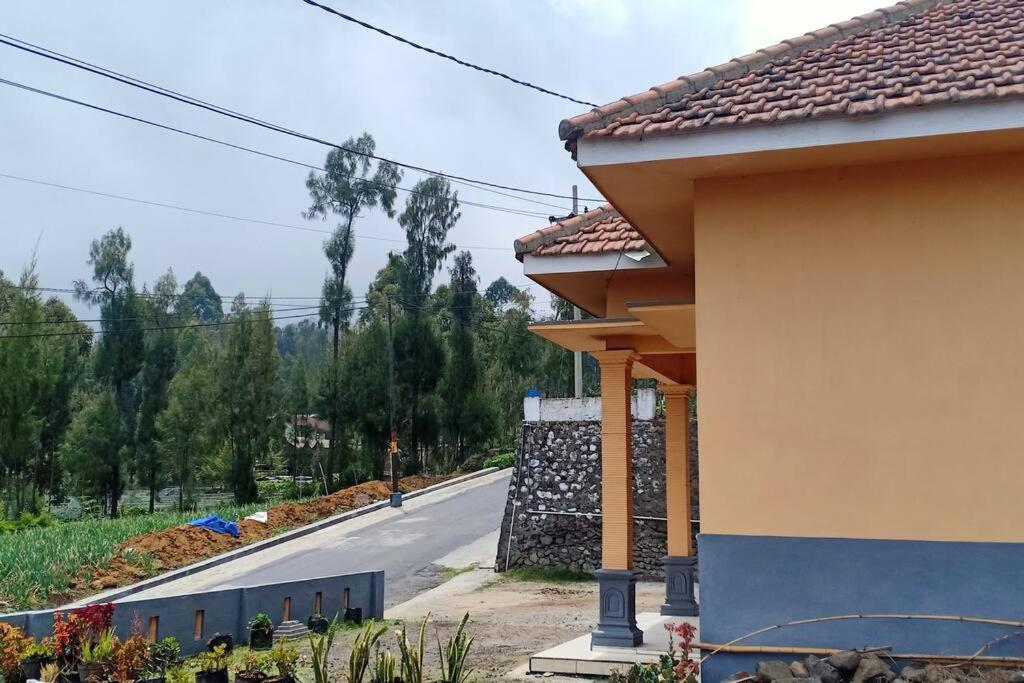 Villa Tengger Asri 5 Gunung Bromo - Housity