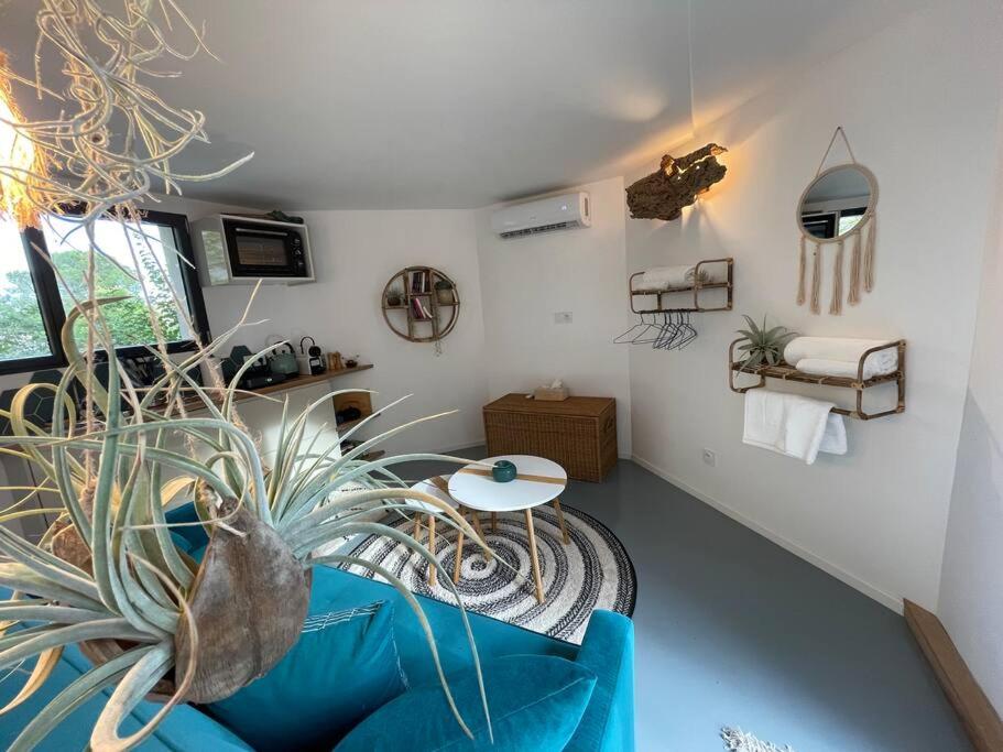 Bulle de détente avec jacuzzi - Housity