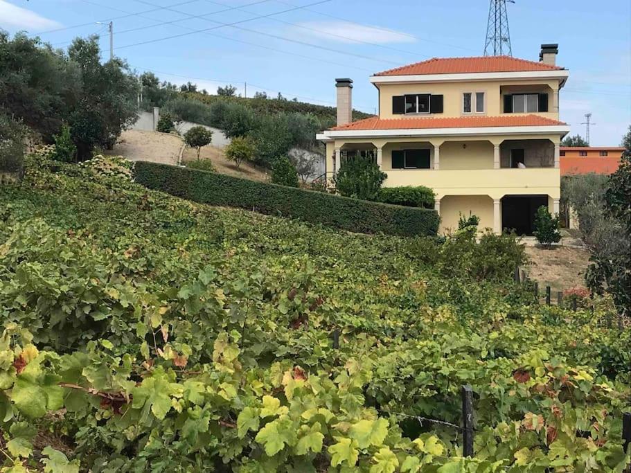 Casa dos Copins - Housity