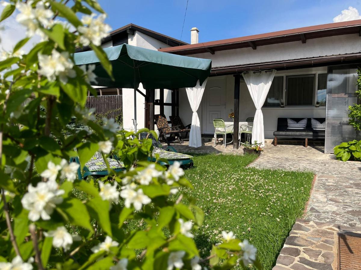 Charmante petite maison Transylvanie - Housity