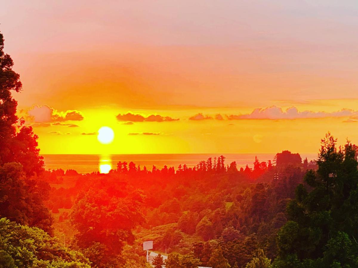 Family Hotel Sunset - Housity