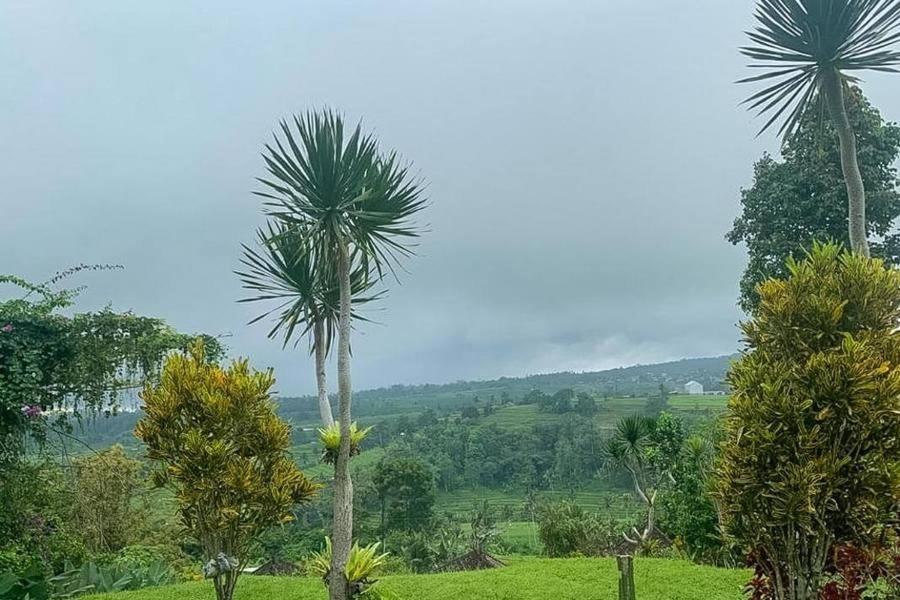 Suitetrails - Jatiluwih Bed and Breakfast