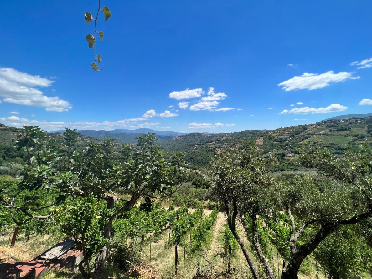 Agriturismo Baccanale - Housity