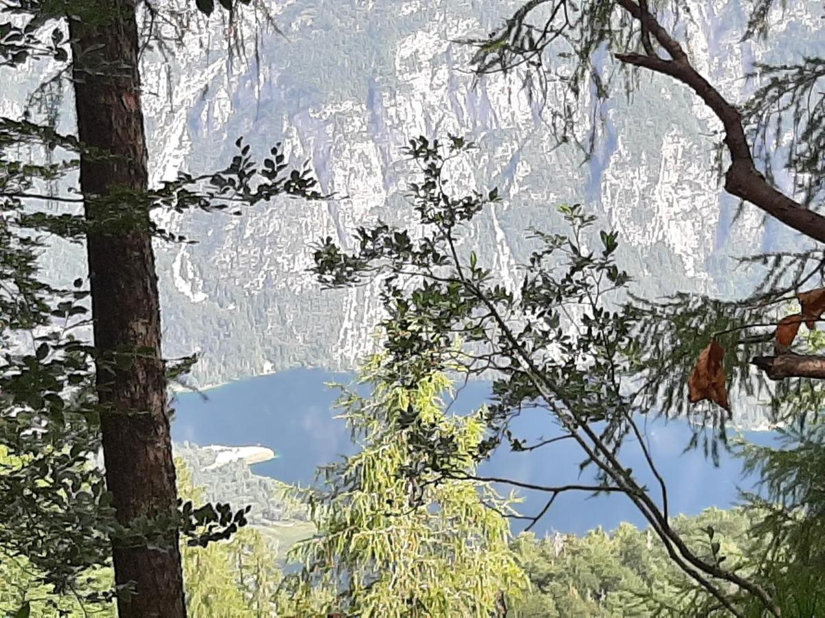 Apartma Bohinj - Housity