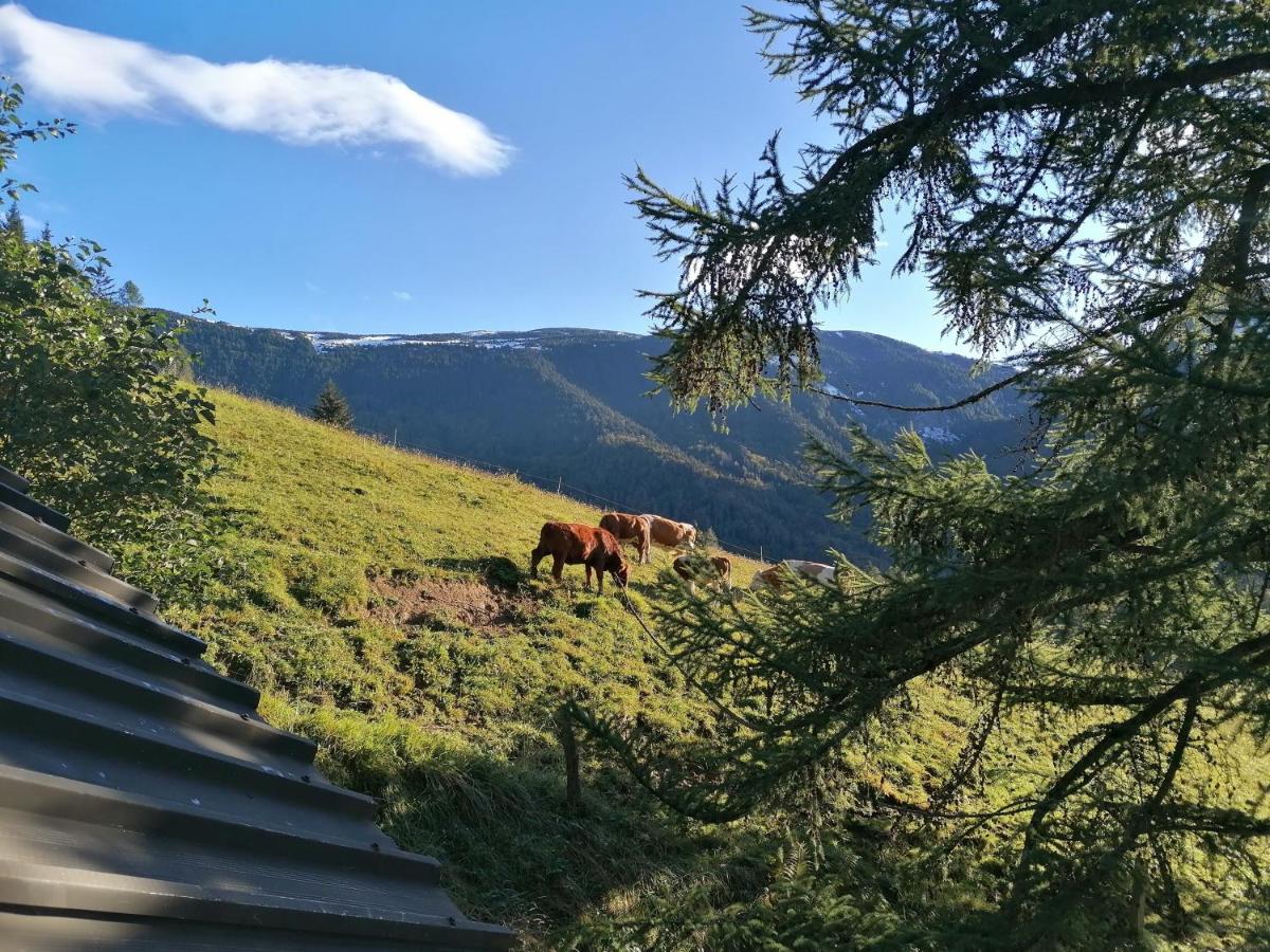 Karavanke mountain hut - Housity