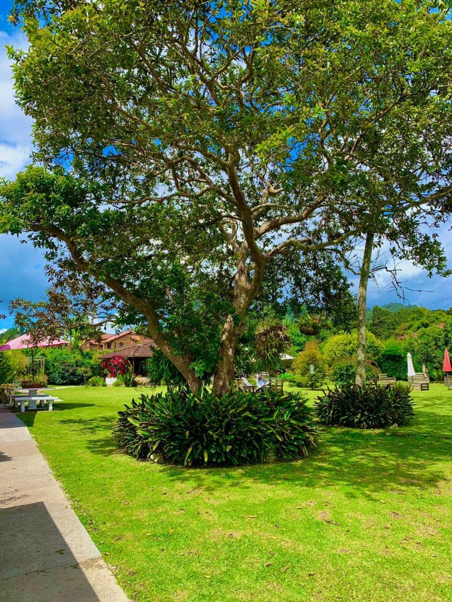 Hotel CSI Llanogrande - Housity