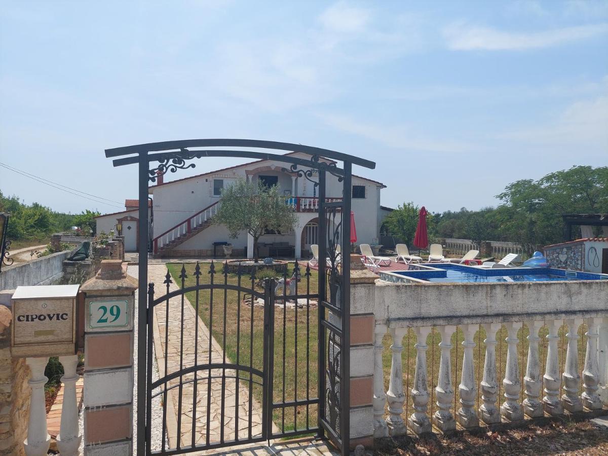 Apartments Chipo - Housity