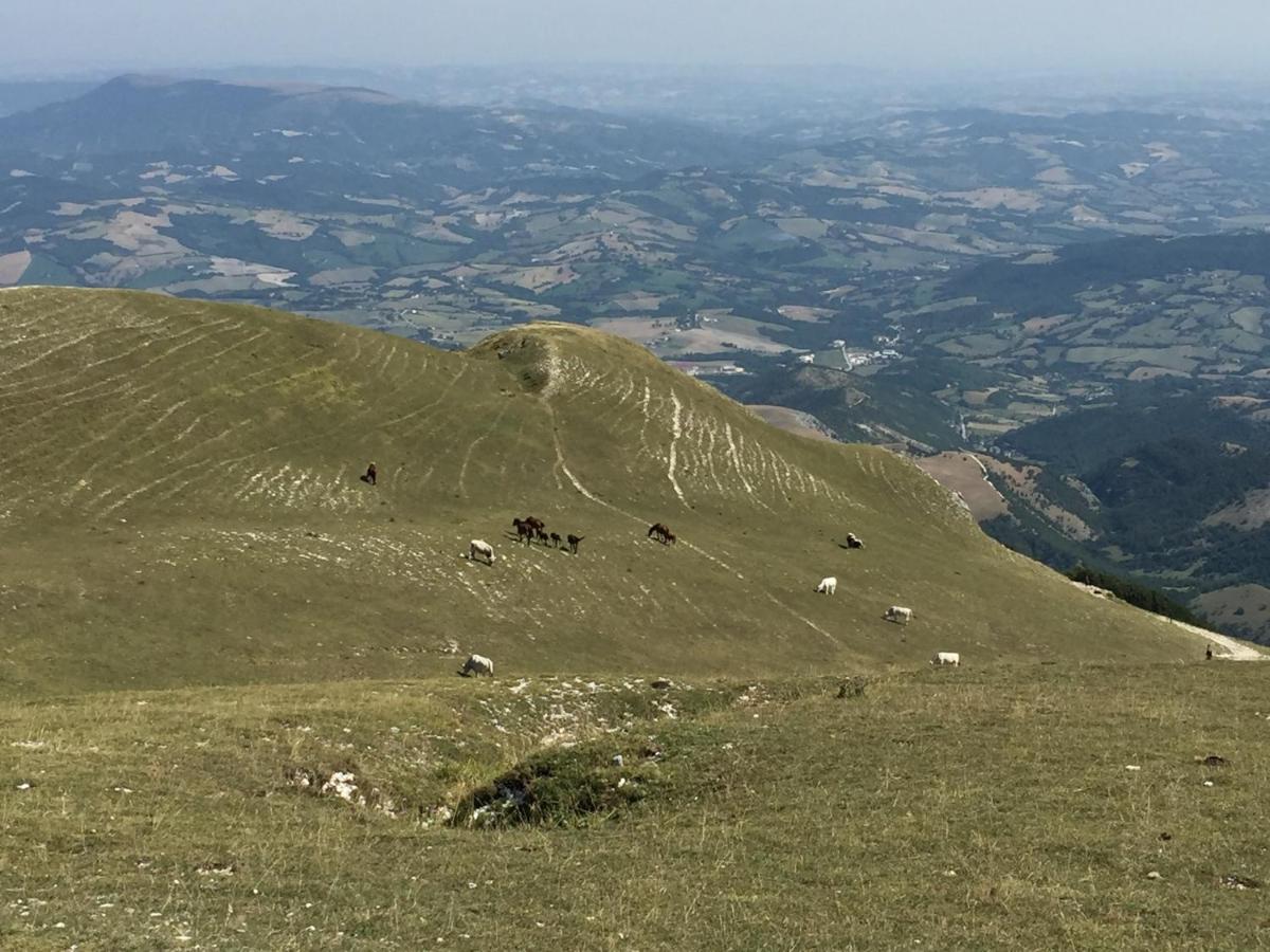 B&B Monte Acuto - Housity