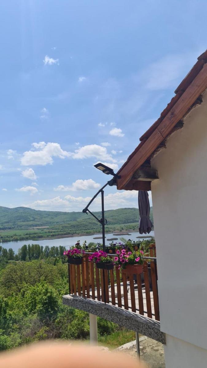 Villa Mechta - Housity