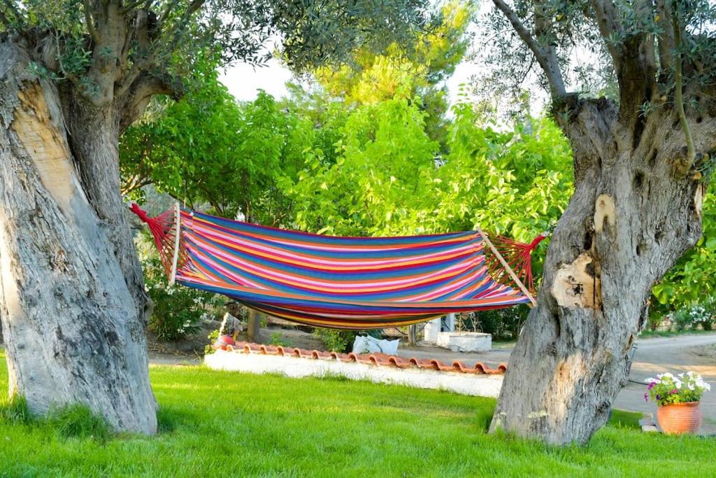 House in 10 acres of grass with horses - Housity