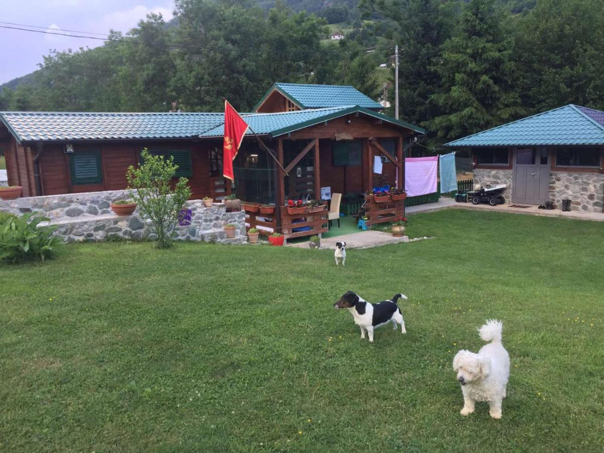 Cottage Ravna Rijeka - Housity