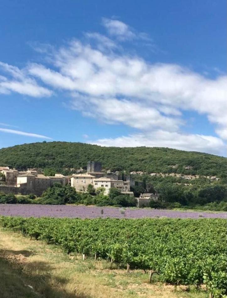Stone house in the medieval village of Montclus (Gard) - Housity