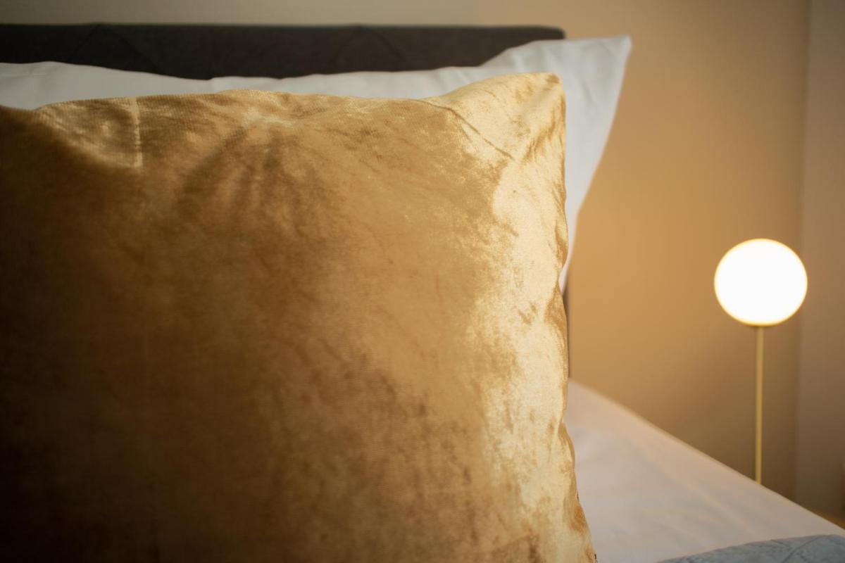 Löwe Apartment Gold Tiengen Altstadt - Housity
